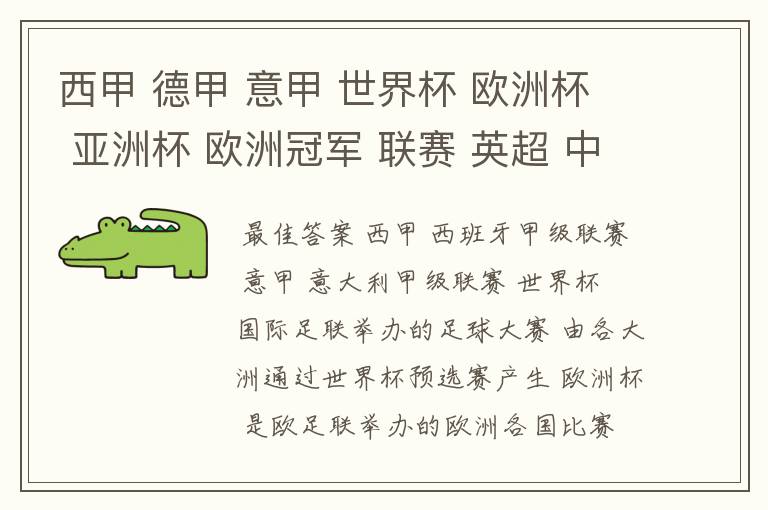 西甲 德甲 意甲 世界杯 欧洲杯 亚洲杯 欧洲冠军 联赛 英超 中超 分别是什么意思啊?