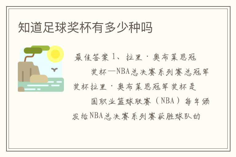 知道足球奖杯有多少种吗