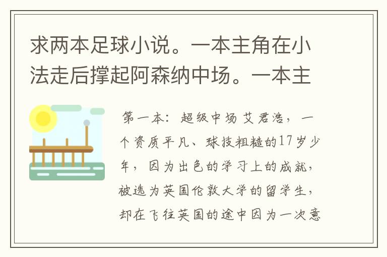 求两本足球小说。一本主角在小法走后撑起阿森纳中场。一本主角在皇马,和大牌关系很好,鸟叔也很照顾他。