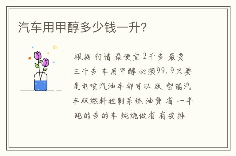 汽车用甲醇多少钱一升?