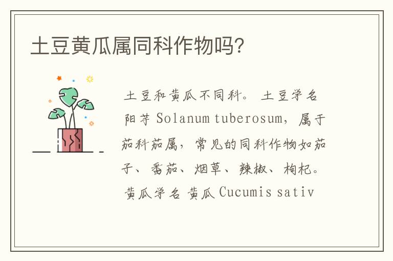 土豆黄瓜属同科作物吗?