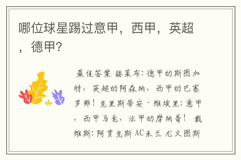 哪位球星踢过意甲,西甲,英超,德甲?