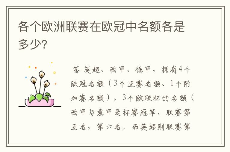 各个欧洲联赛在欧冠中名额各是多少?