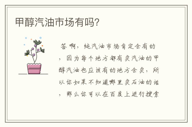 甲醇汽油市场有吗?