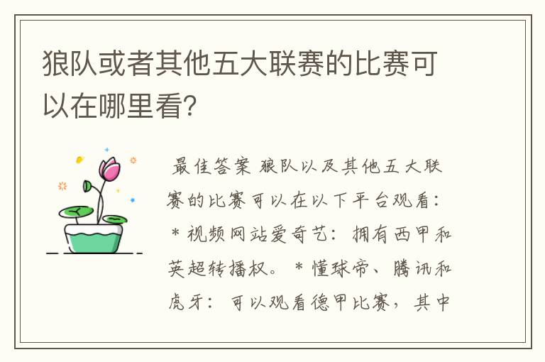狼队或者其他五大联赛的比赛可以在哪里看?