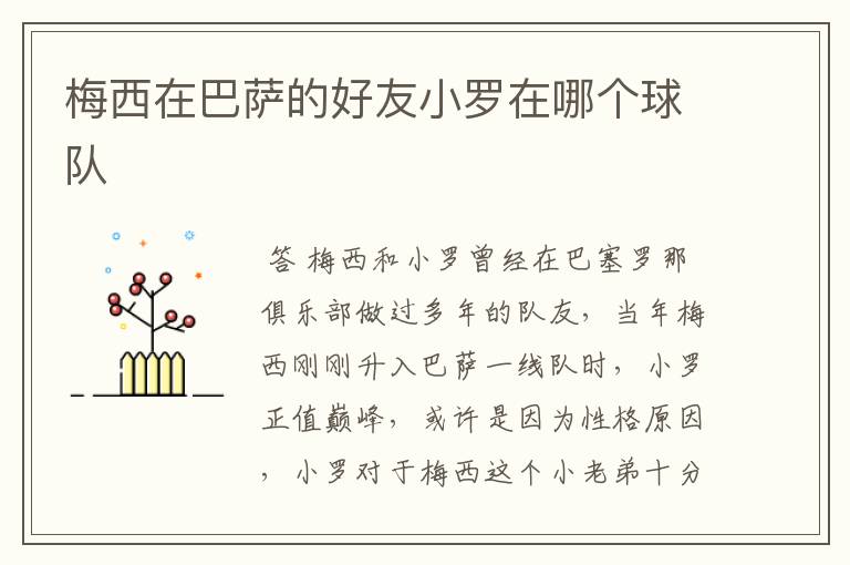 梅西在巴萨的好友小罗在哪个球队