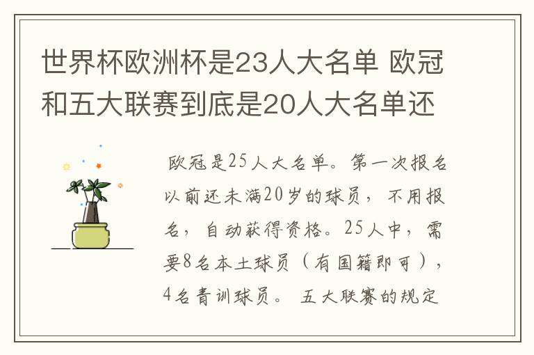 世界杯欧洲杯是23人大名单 欧冠和五大联赛到底是20人大名单还是18人大名单