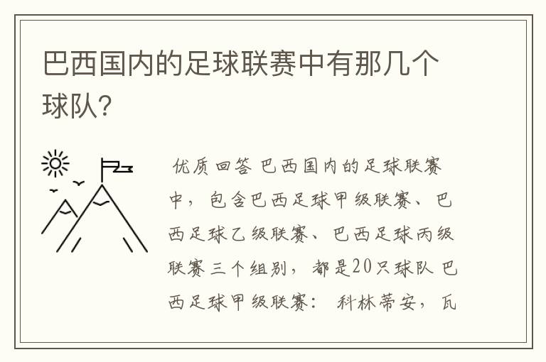 巴西国内的足球联赛中有那几个球队?