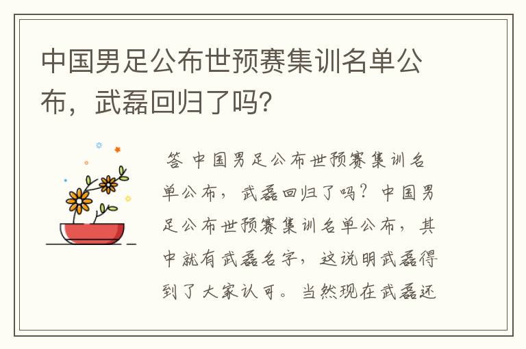 中国男足公布世预赛集训名单公布,武磊回归了吗?