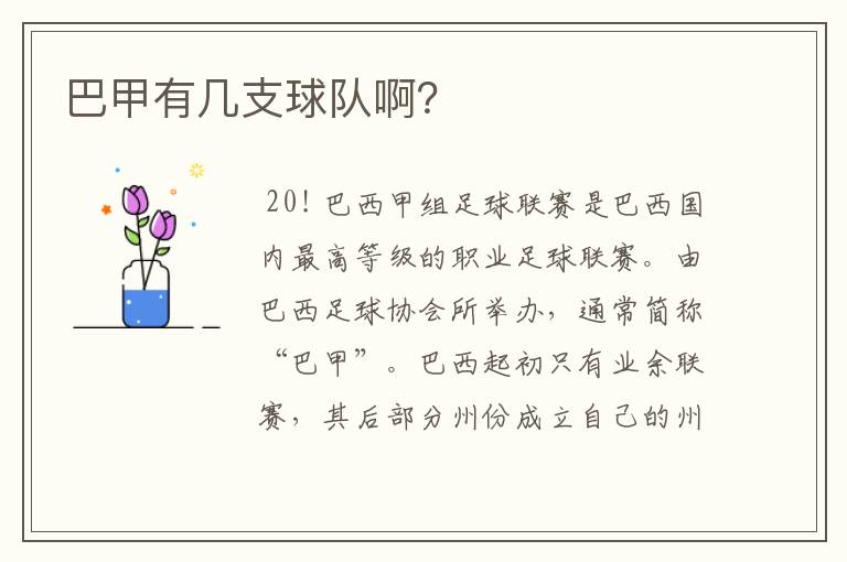 巴甲有几支球队啊?