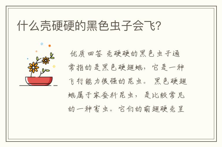 什么壳硬硬的黑色虫子会飞？