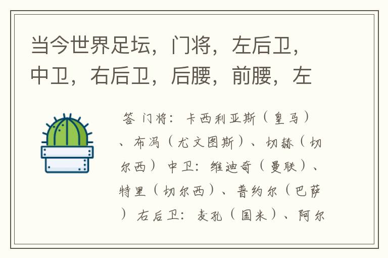 当今世界足坛,门将,左后卫,中卫,右后卫,后腰,前腰,左边锋,右边锋,以及中锋(每个位置说出三个顶