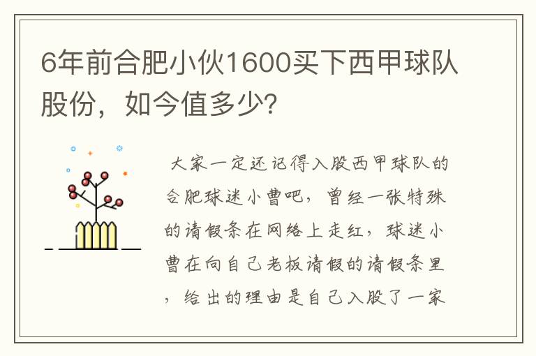 6年前合肥小伙1600买下西甲球队股份,如今值多少?
