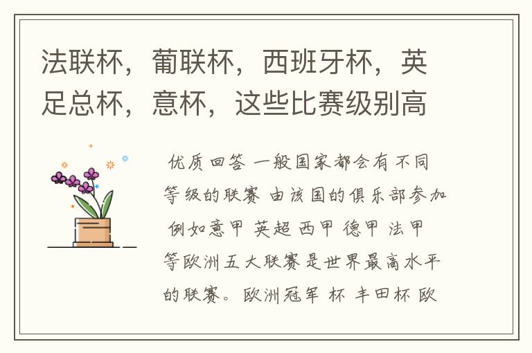 法联杯,葡联杯,西班牙杯,英足总杯,意杯,这些比赛级别高吗?足球比赛级别是怎么划分的?