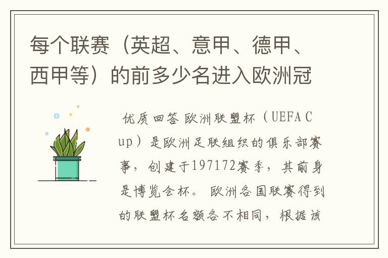 每个联赛(英超、意甲、德甲、西甲等)的前多少名进入欧洲冠军杯?多少名进入欧洲联盟杯?