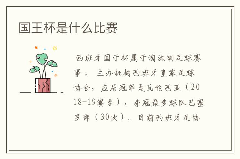 国王杯是什么比赛