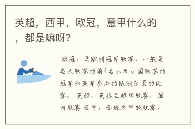 英超,西甲,欧冠,意甲什么的,都是嘛呀?