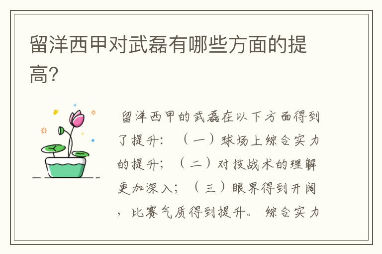 留洋西甲对武磊有哪些方面的提高?