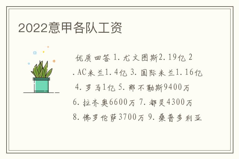 2022意甲各队工资
