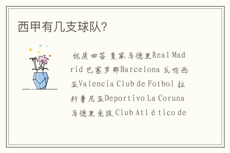 西甲有几支球队?