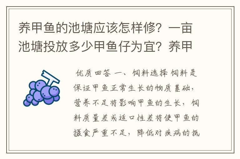 养甲鱼的池塘应该怎样修?一亩池塘投放多少甲鱼仔为宜?养甲鱼应该注意那些问题?