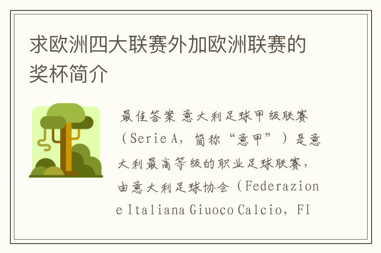 求欧洲四大联赛外加欧洲联赛的奖杯简介