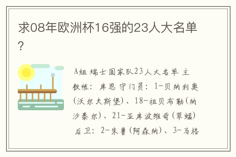 求08年欧洲杯16强的23人大名单?