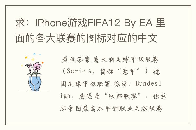求:IPhone游戏FIFA12 By EA 里面的各大联赛的图标对应的中文名称 例如:Liga BBVA 西甲