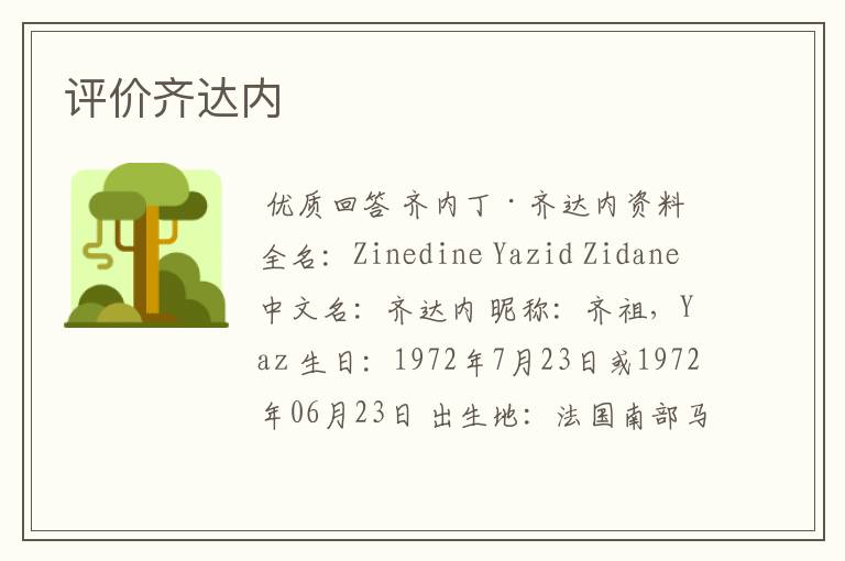 评价齐达内