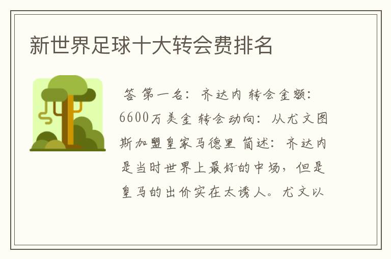 新世界足球十大转会费排名