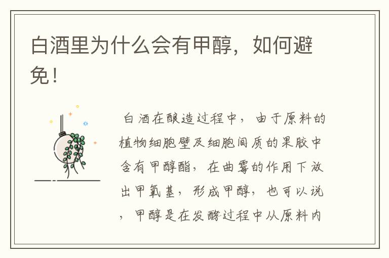 白酒里为什么会有甲醇,如何避免!