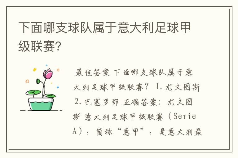 下面哪支球队属于意大利足球甲级联赛?