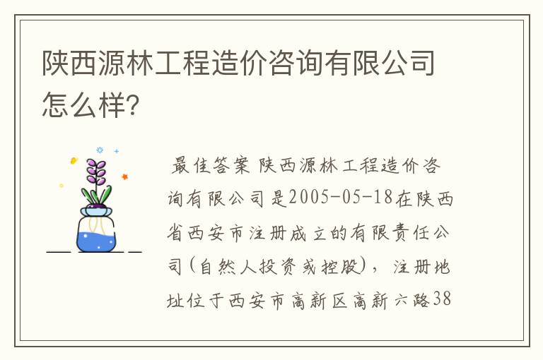 陕西源林工程造价咨询有限公司怎么样?