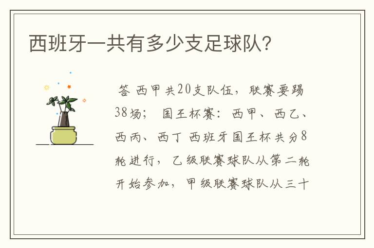 西班牙一共有多少支足球队?