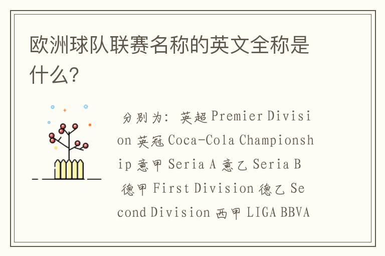 欧洲球队联赛名称的英文全称是什么?