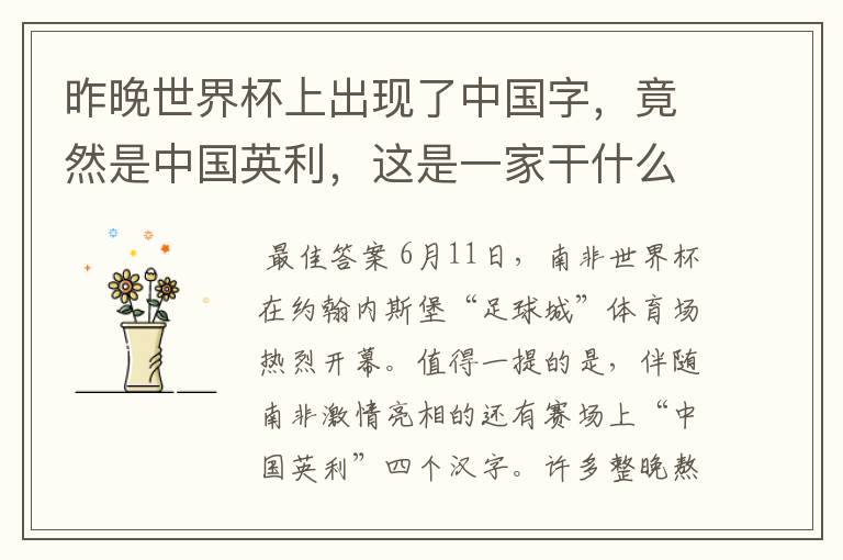 昨晚世界杯上出现了中国字,竟然是中国英利,这是一家干什么的公司啊?