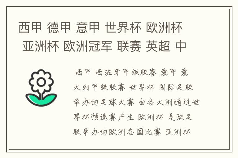 西甲 德甲 意甲 世界杯 欧洲杯 亚洲杯 欧洲冠军 联赛 英超 中超 分别是什么意思啊?