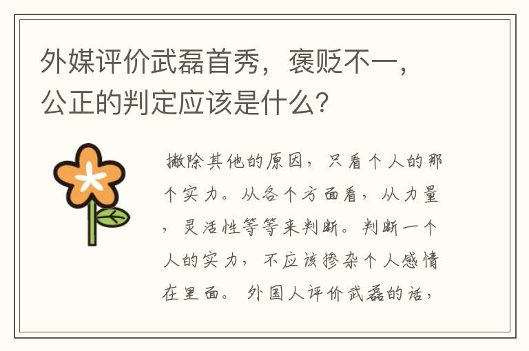 外媒评价武磊首秀,褒贬不一,公正的判定应该是什么?