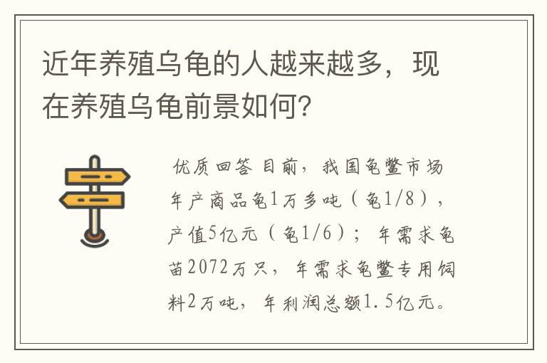 近年养殖乌龟的人越来越多,现在养殖乌龟前景如何?