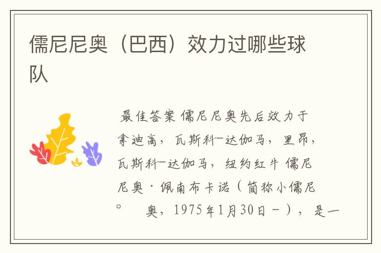 儒尼尼奥(巴西)效力过哪些球队