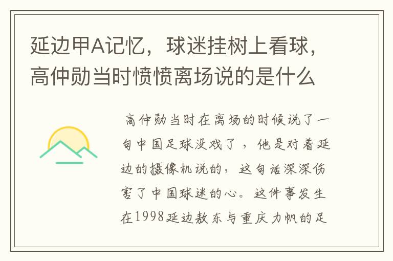 延边甲A记忆,球迷挂树上看球,高仲勋当时愤愤离场说的是什么话?