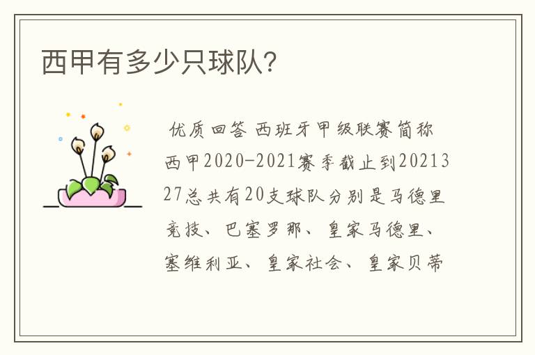 西甲有多少只球队?