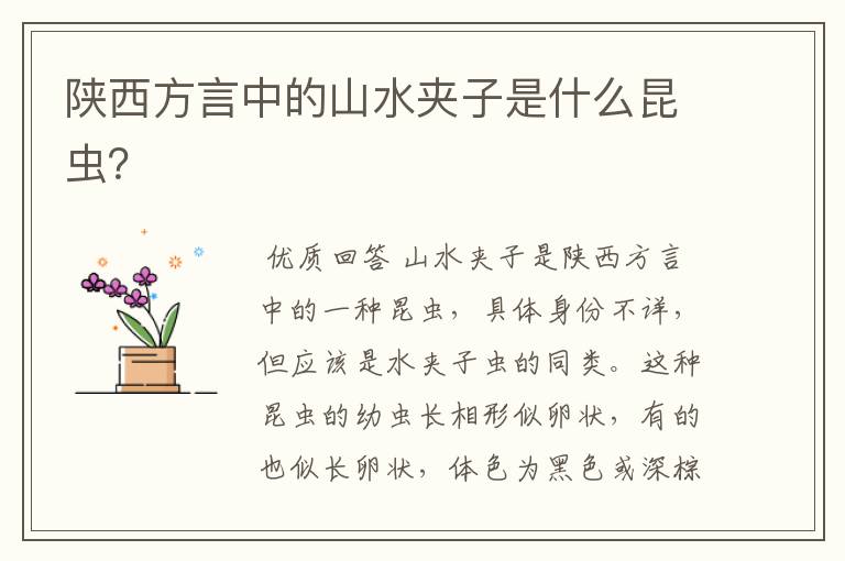 陕西方言中的山水夹子是什么昆虫?