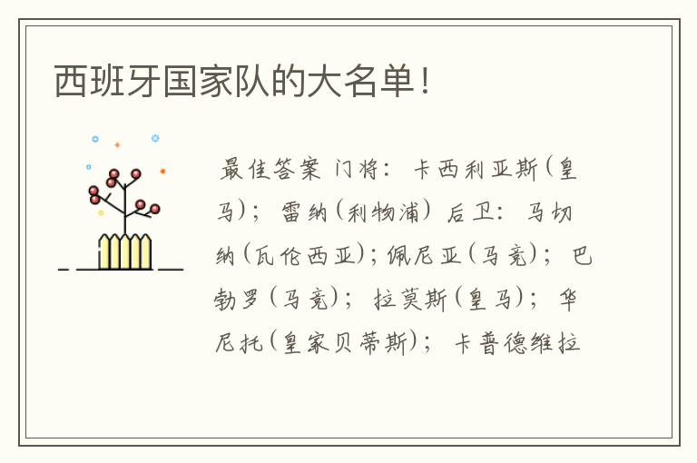 西班牙国家队的大名单!