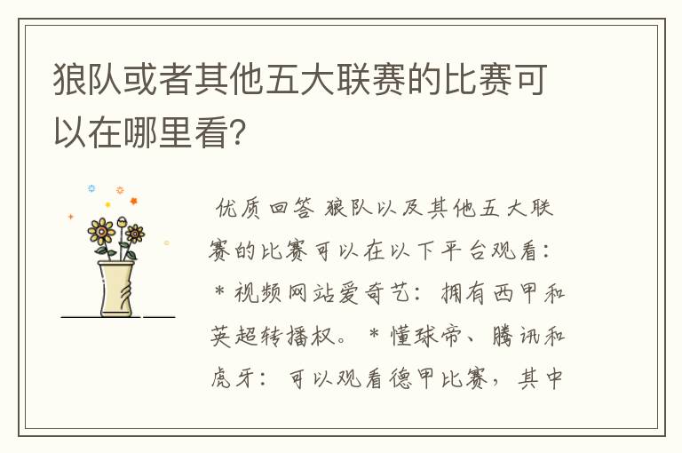 狼队或者其他五大联赛的比赛可以在哪里看?
