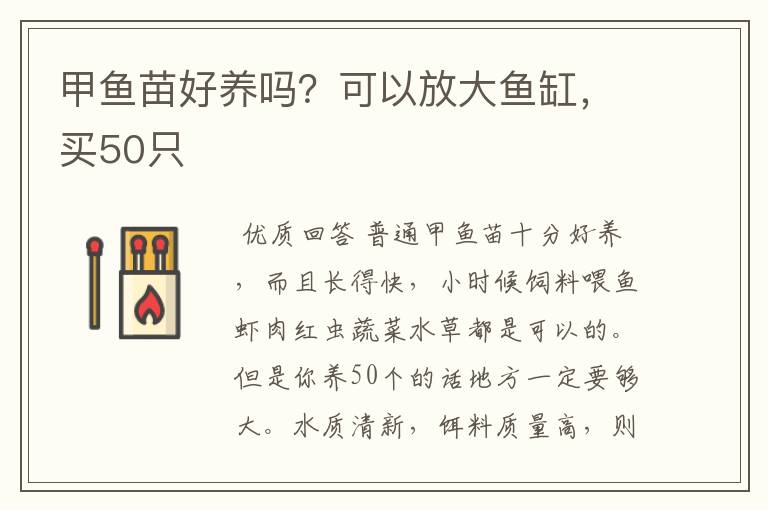 甲鱼苗好养吗?可以放大鱼缸,买50只