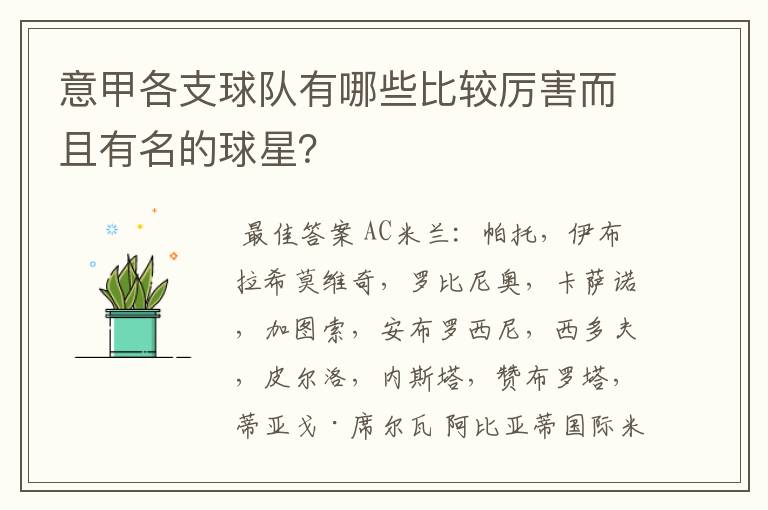 意甲各支球队有哪些比较厉害而且有名的球星?