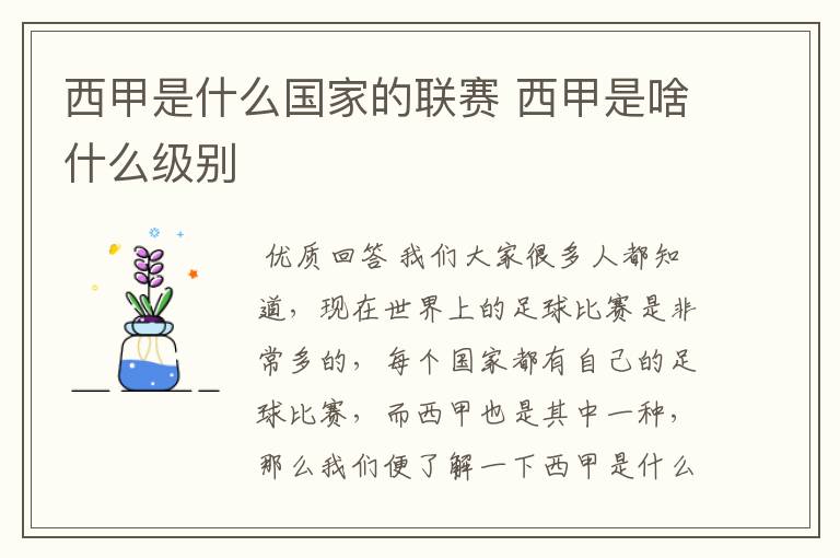 西甲是什么国家的联赛 西甲是啥什么级别