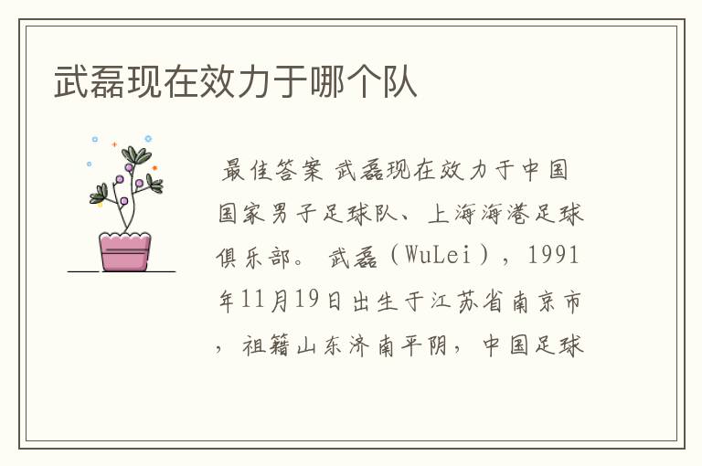 武磊现在效力于哪个队