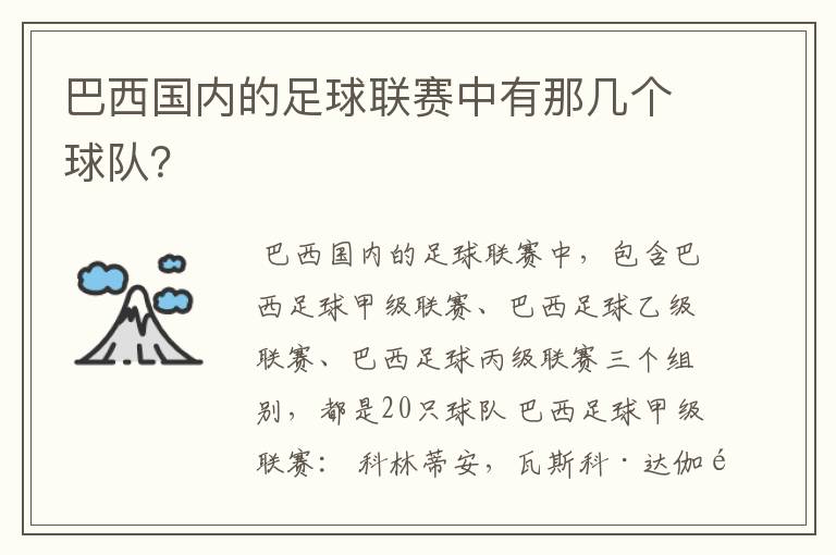 巴西国内的足球联赛中有那几个球队?